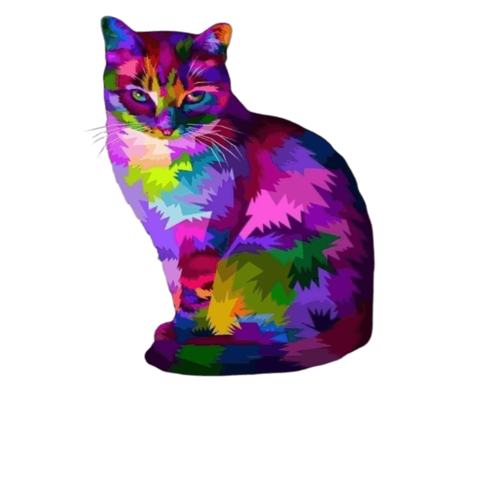 Colorful Cat