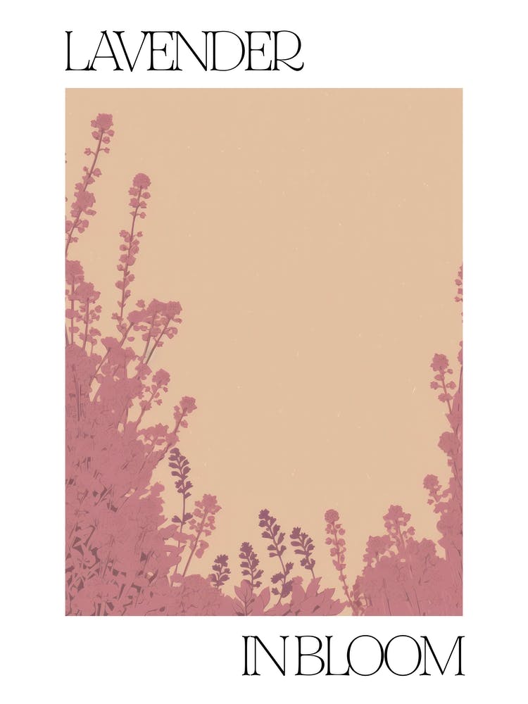 Lavender In Bloom Flowers Bold Illustration 4
