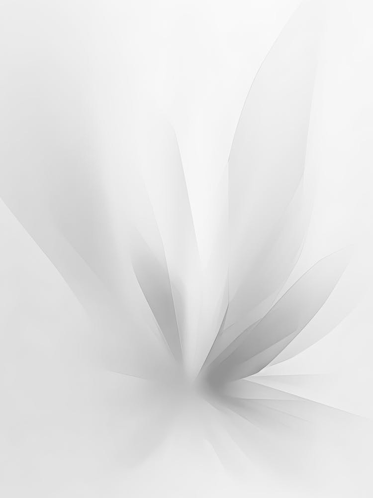 Abstract White Flower