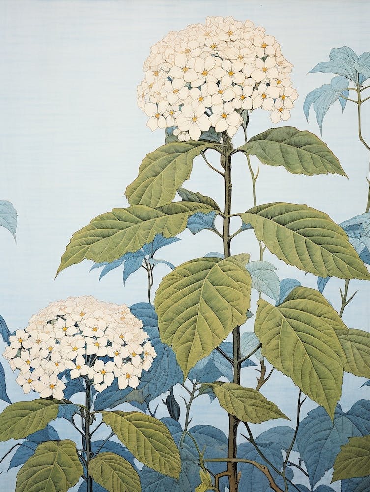 Ajisai Hydrangea 2 Vintage Botanical Woodblock
