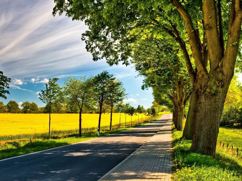 Country Road