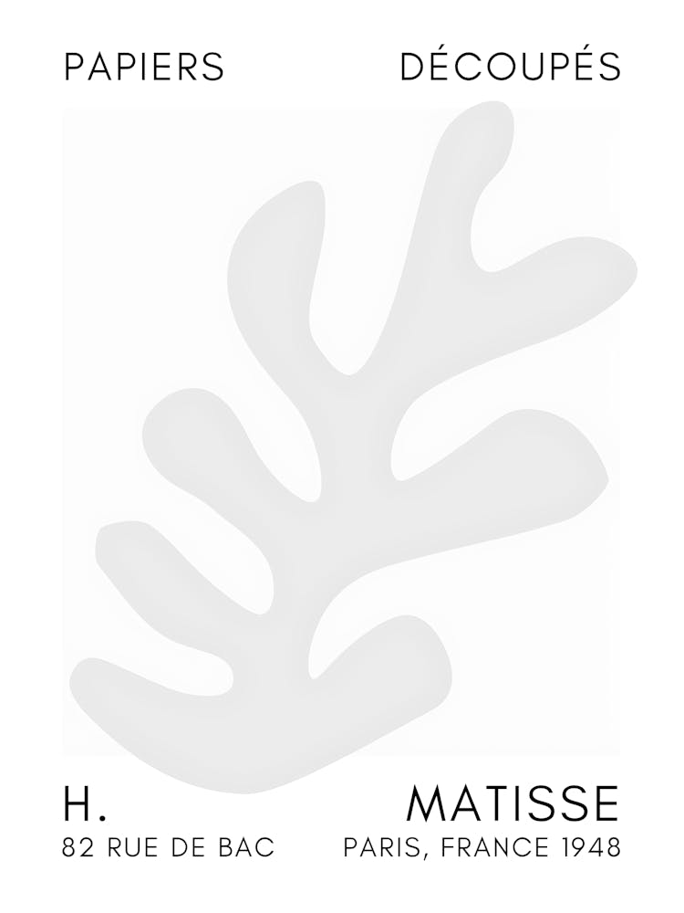 Matisse 43