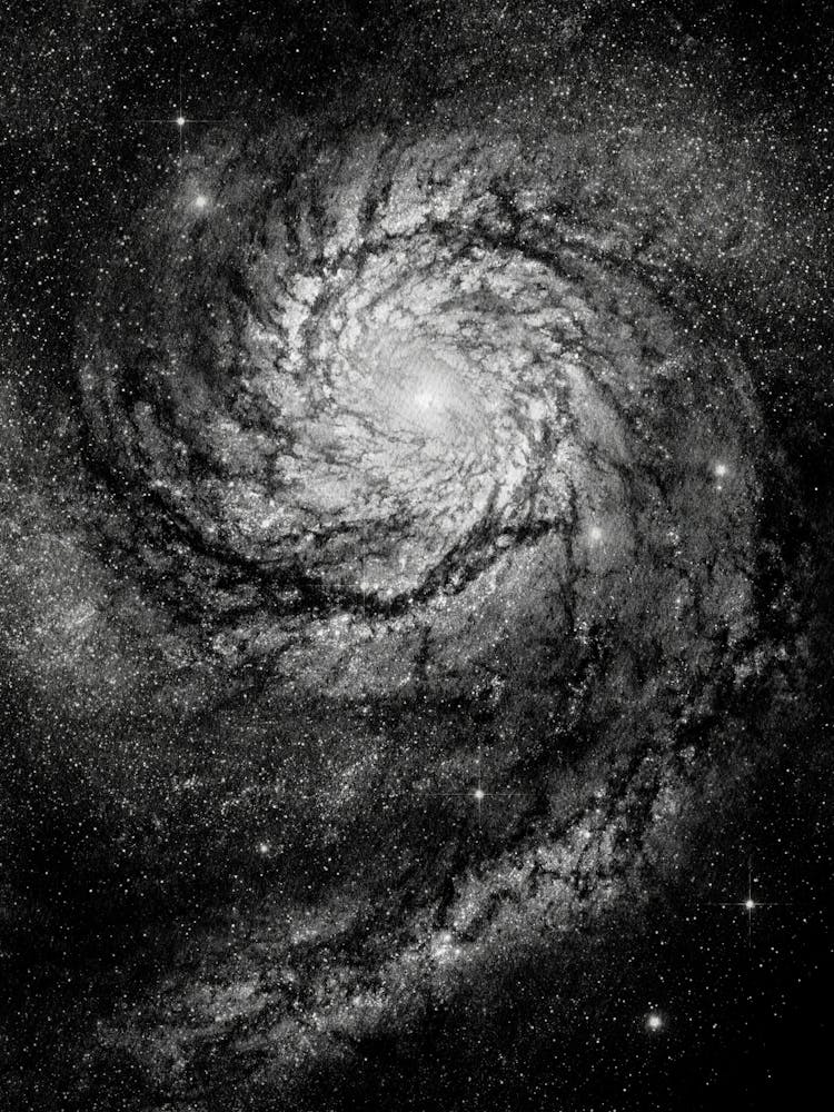 Spiral Galaxy