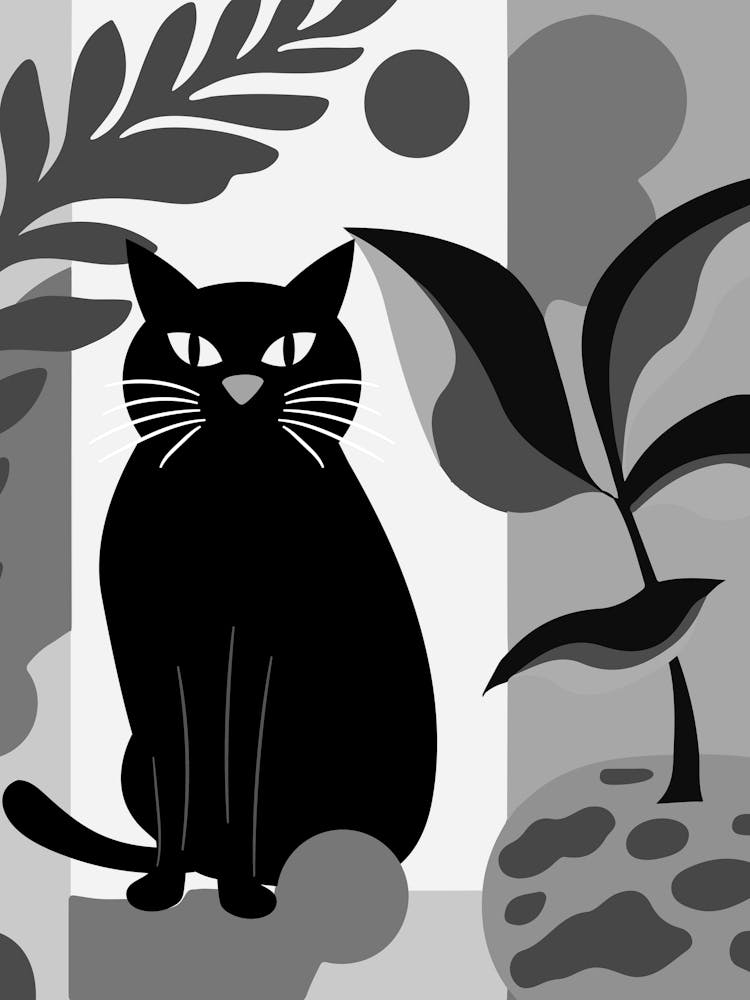 Black Cat 3