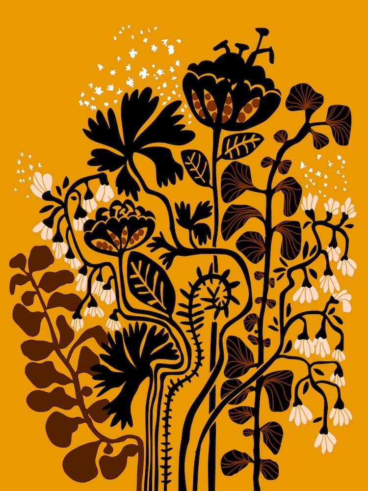 Stockholm Garden Autumn Day