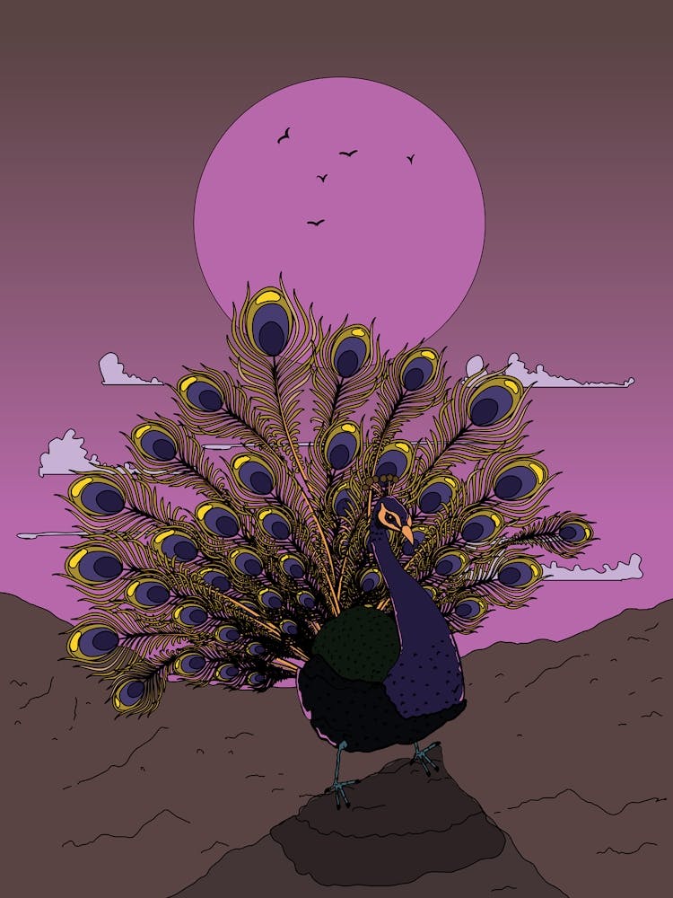 Japanese Peacock At Dusk