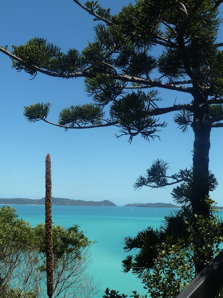 Whitsundays, Australia Blue 1 Photography
