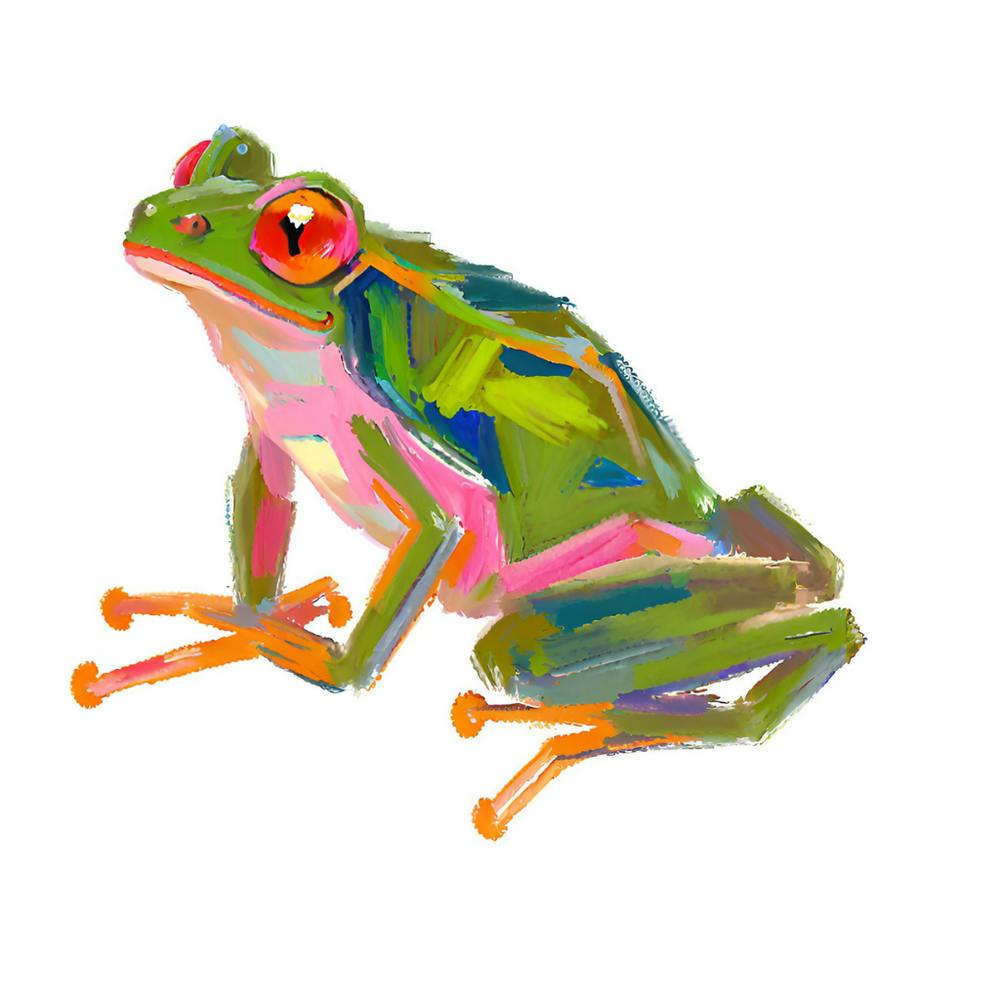 Red Eyed Tree Frog 05