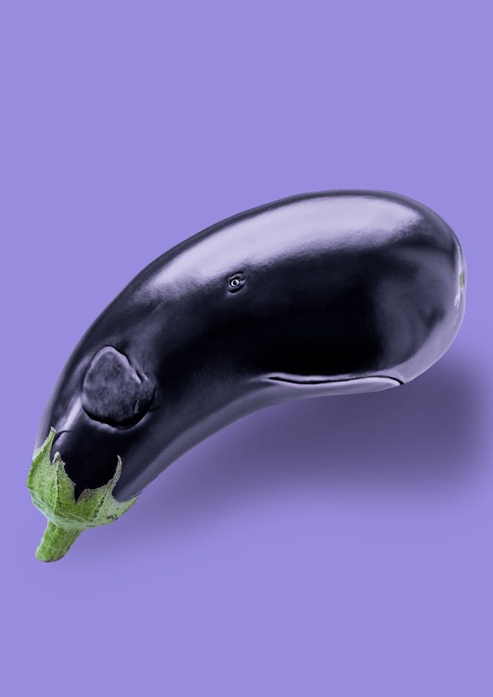 Eggplant Whale