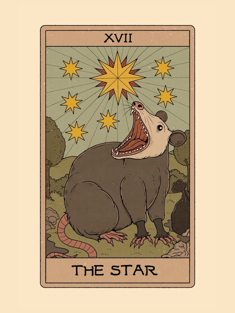 The Star - Possum Tarot