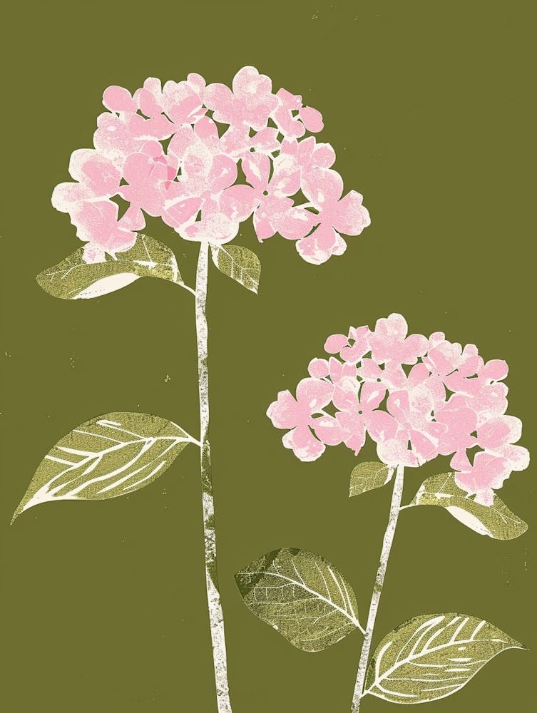 Pink & Green Hydrangea 1