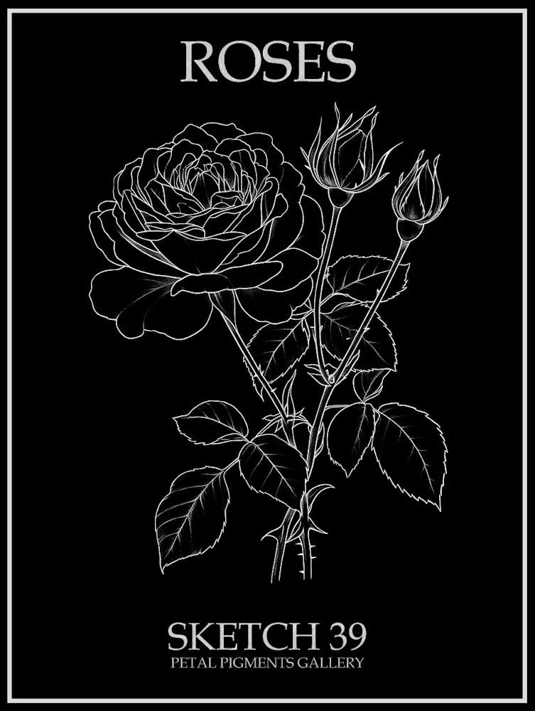 Roses Sketch 39 Poster Inverted Art Print by Petal Pigments – Fy!