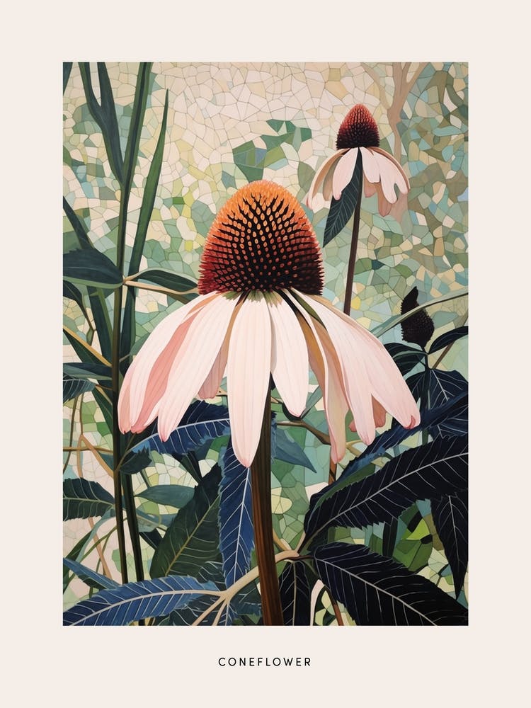 Flower Illustration Coneflower 2 Poster