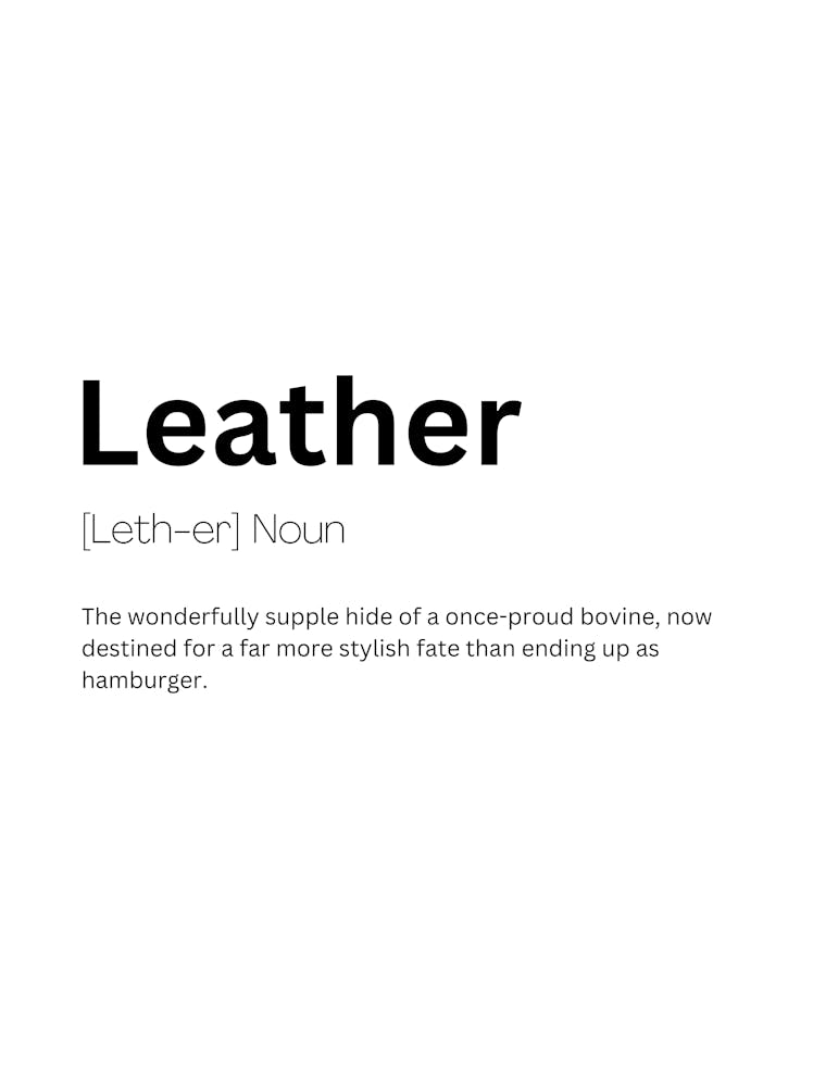 Leather Definition Meaning