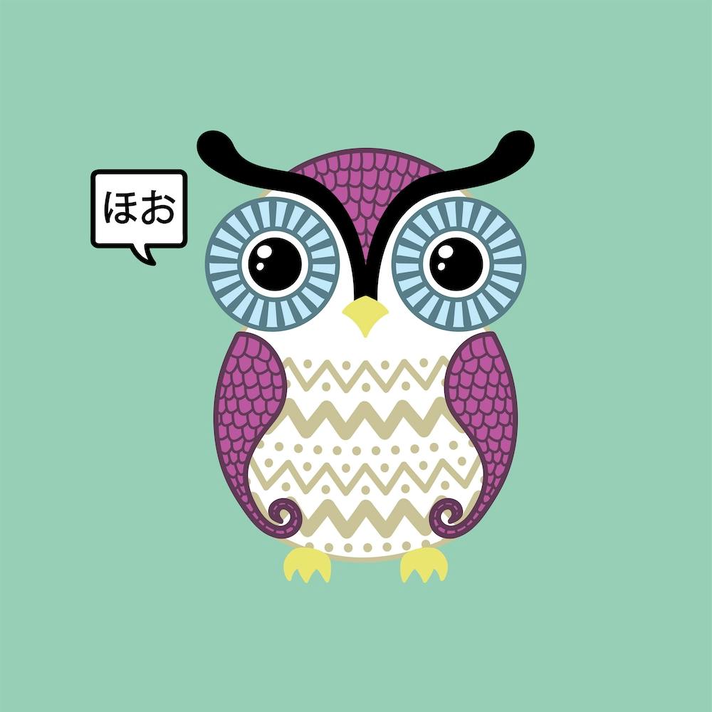 Cute Owl