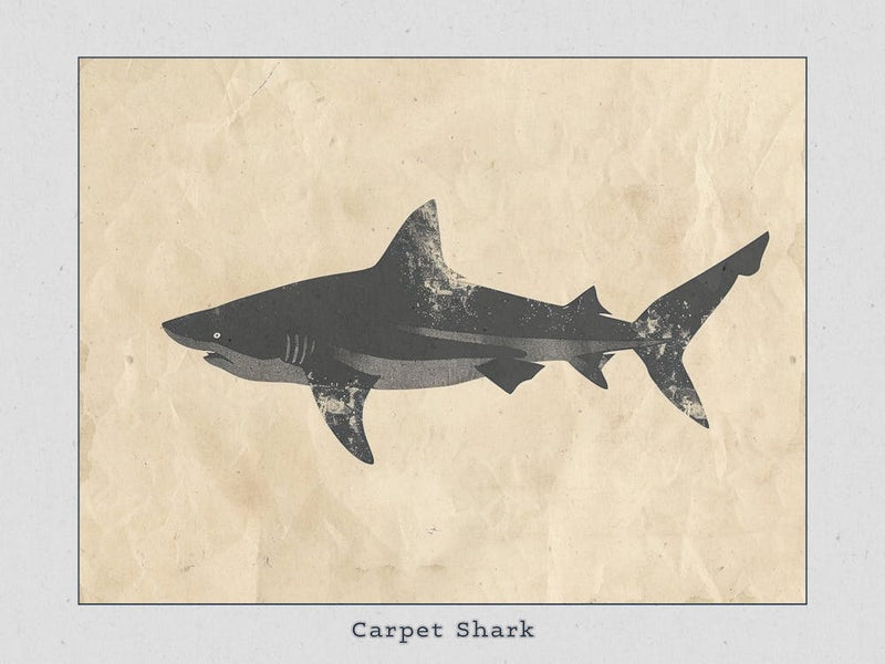 Carpet Shark Silhouette 7 Poster