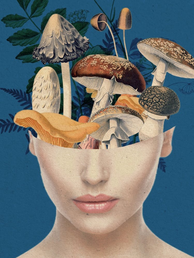 Mushroom Lady 7