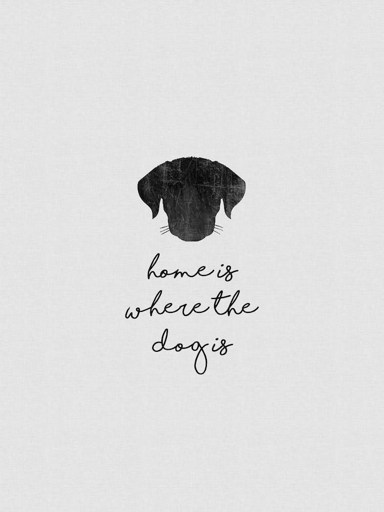 Home Is Where The Dog Is