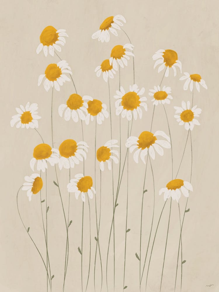 Portrait of Daisies