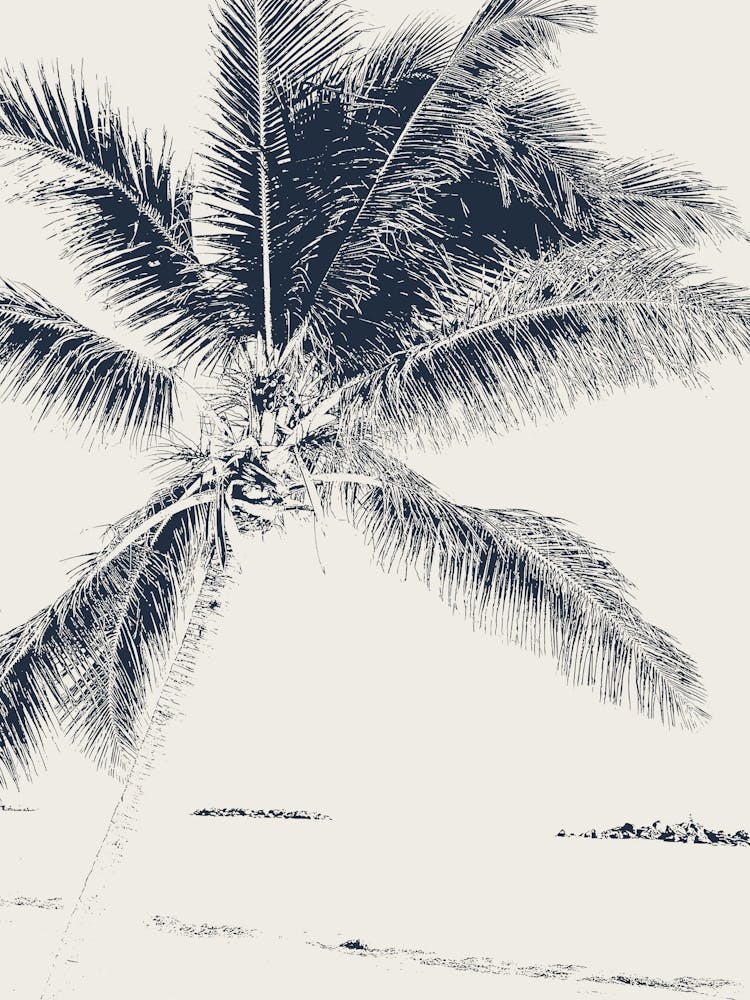 Palm Tree, Abstract Beach, Navy Blue and Beige, Boho