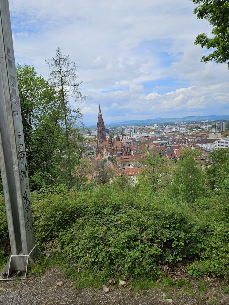 View Of Freiburg From A Hill