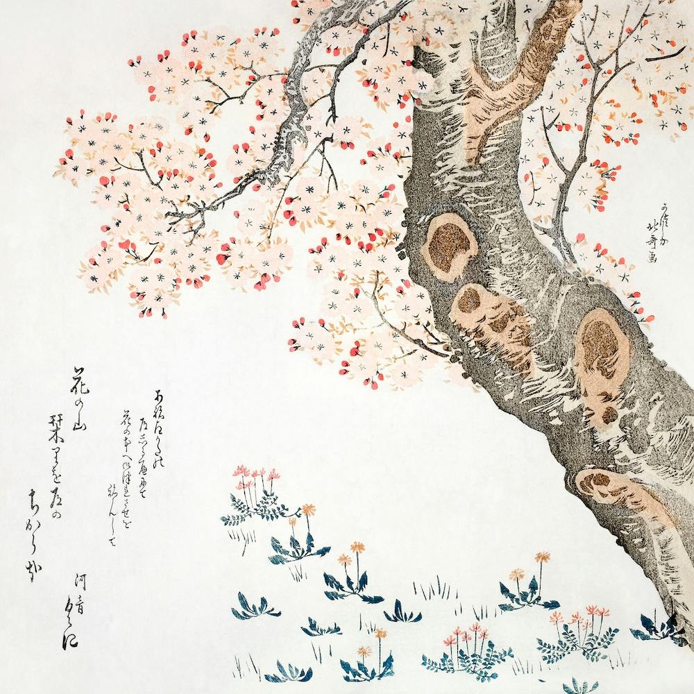 Cherry Tree, Katsushika Hokusai