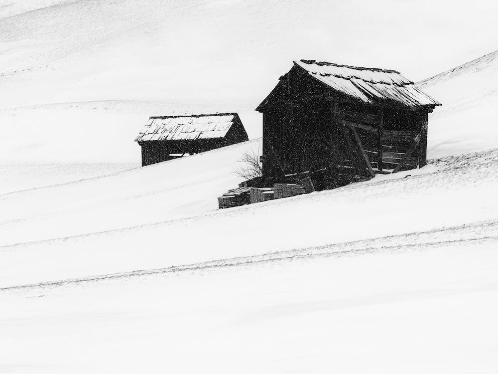 First Snow