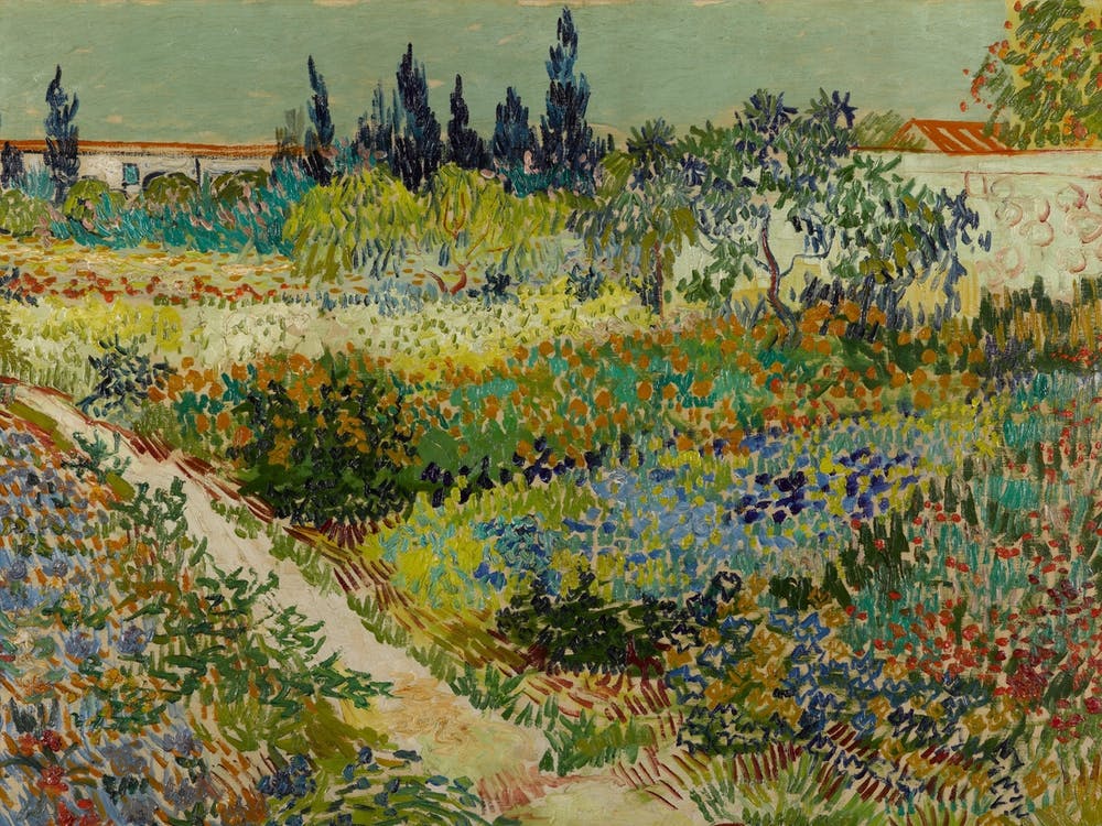 Garden In Bloom, Arles, July 1888 By Vincent Van Gogh