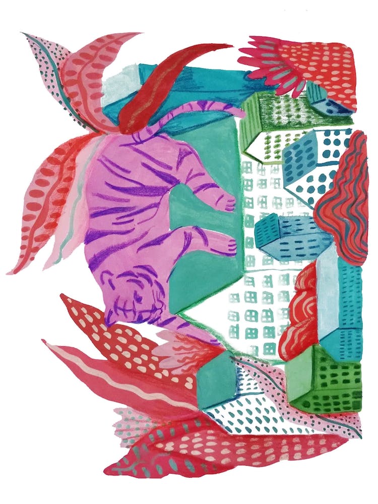 Big Pink Tiger At Home