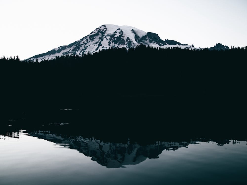 Rainier Reflections