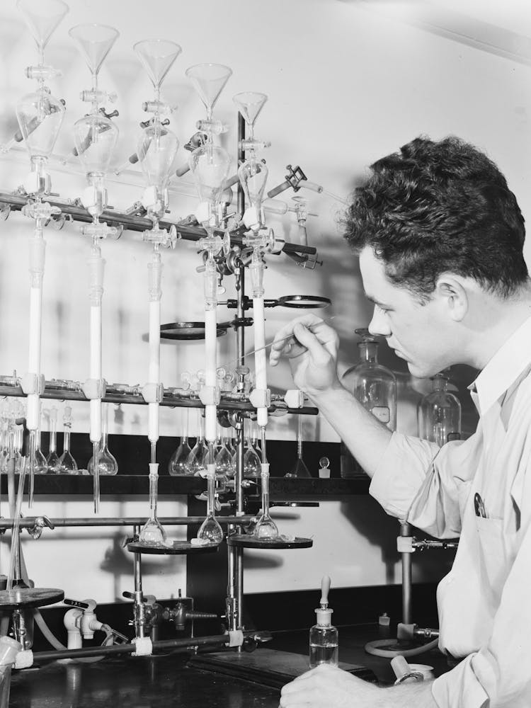 G F Bailey, Scientific Aide, At Work On Carotene Test Of Dehydrated Vegetables At The Regional Agricultural Research