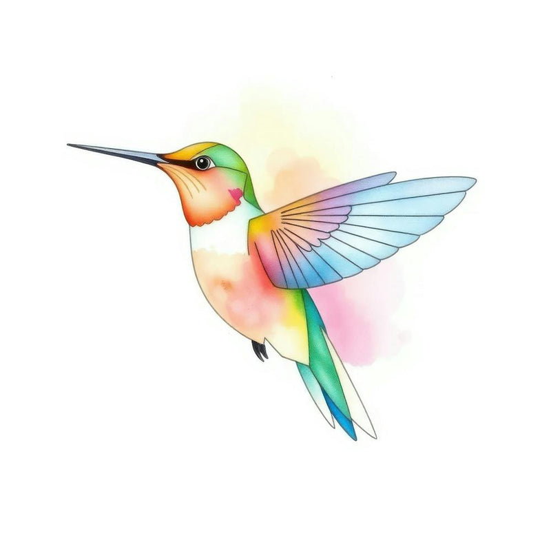 Hummingbird 13