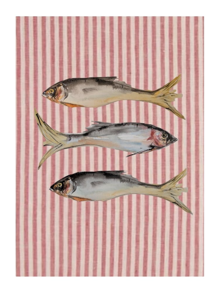 Striped Fish Illustration