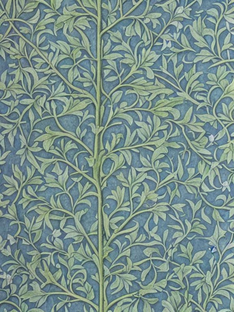 Nuttall Oak 2 tree Vintage Botanical