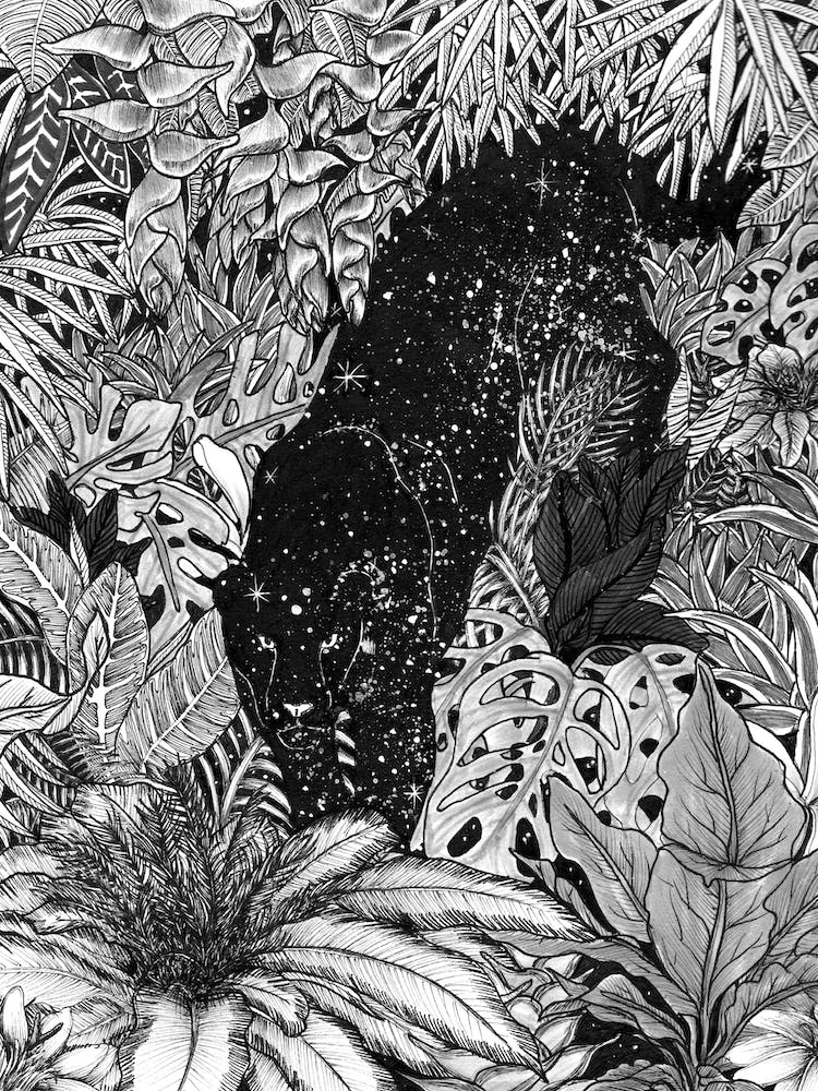 The Jungle At Night