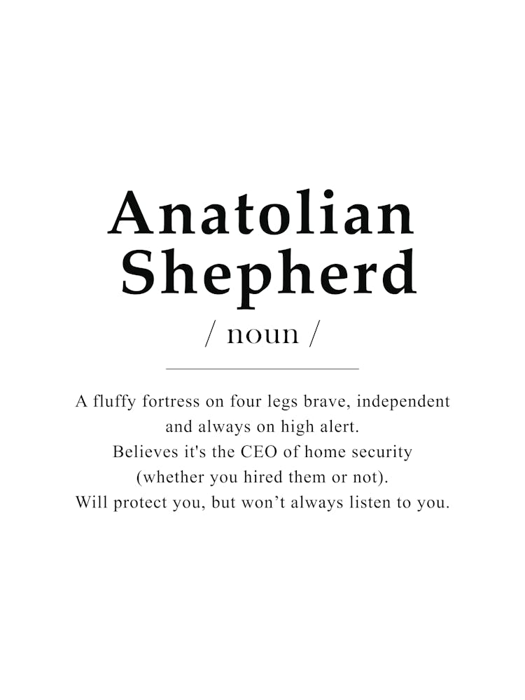 Anatolian Shepherd Affiche de Définition - Dictionnaire