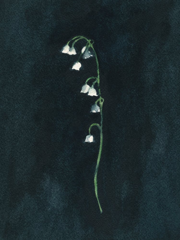 Courage To Remember Lily Of The Valley 