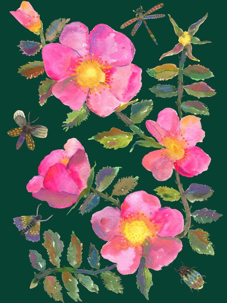 Wildrose Grün