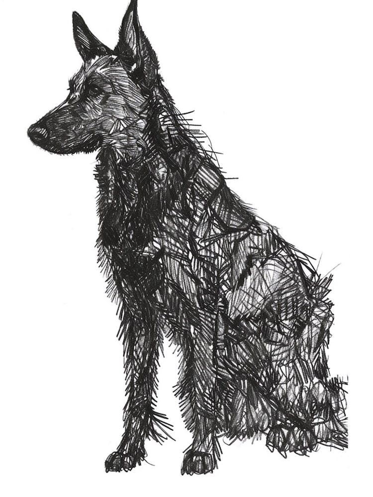 Furry Short Haired Dog Line Sketch 3
