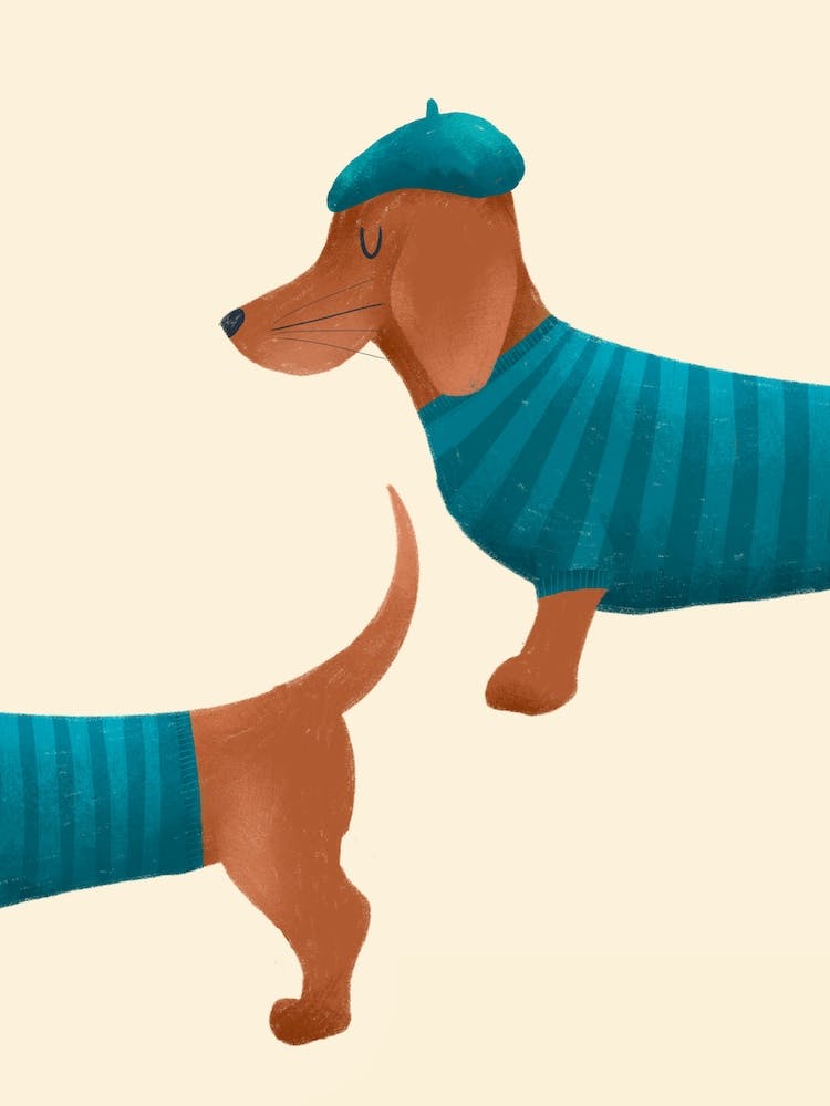 Cute Blue Brown Sausage Dog Dachshund