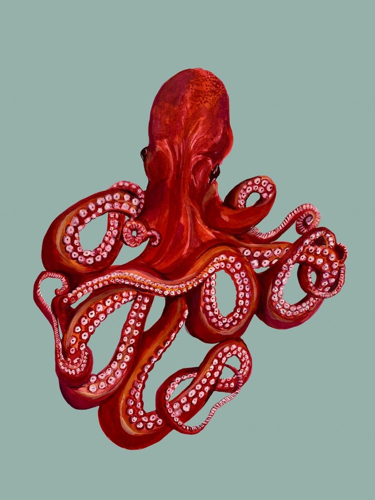 Octopus On Mint Animal