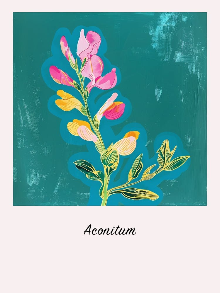 Aconitum 3 Square Flower Illustration Poster