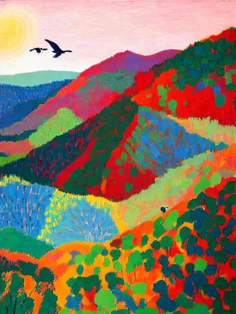Blue Mountains National Park 2 Australia Abstract Colourful