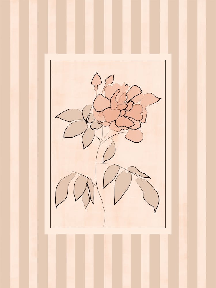 Rose On A Striped Blush Background