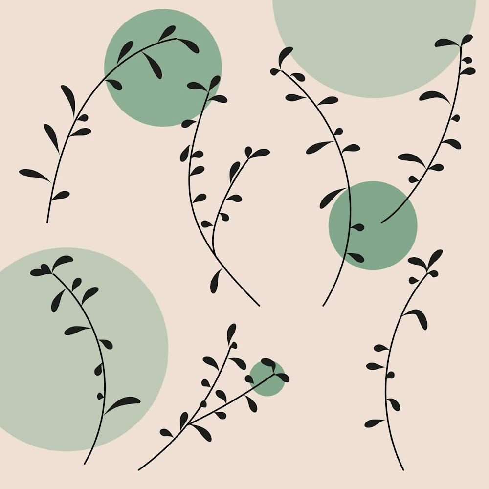 Plants Pattern Design Branches Branch Leaves Botanical Boho Bohemian Texture Drawing Circles Nature Green