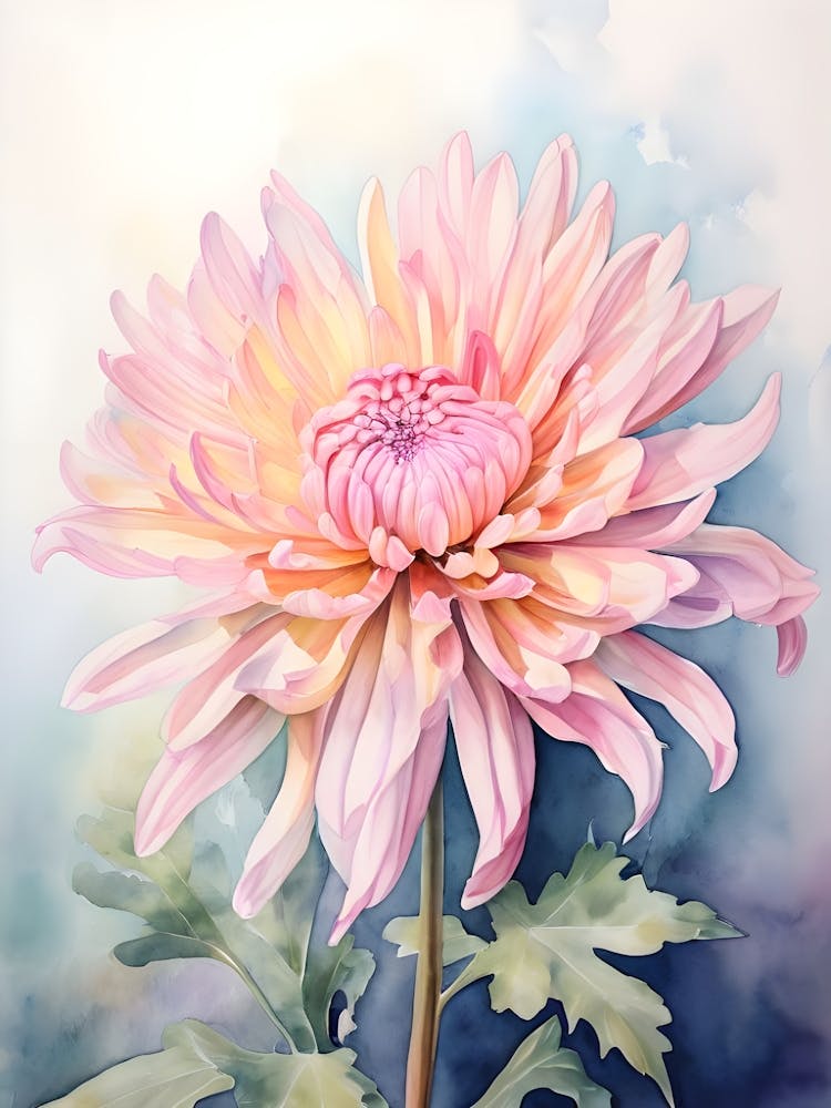 Pink Chrysanthemum Watercolor Painting