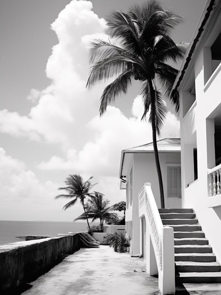 Barbados, Black And White Analogue Photograph 1