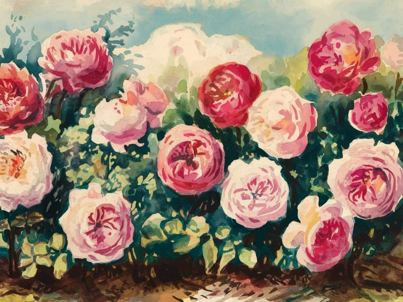 Blushing Rose Garden - Floral