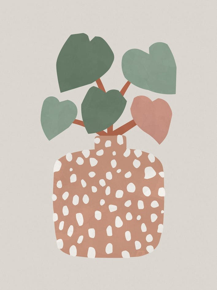 Terrazzo And Heart Plant