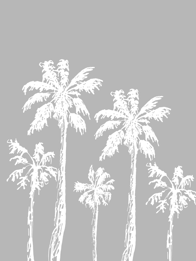 Palm Trees 3